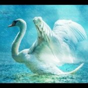 Обкладинка Lacross – Save Me (Swan Lake)