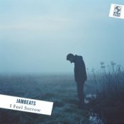 Обкладинка JamBeats – I Feel Sorrow