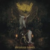 Обкладинка Dollhaver – Spitting Moths