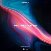 Обкладинка Monocule & Louis III & Nicky Romero – Waiting For Me