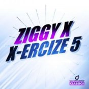 Обкладинка Ziggy X – Vikinx