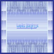 Wiklund - Wing Beats