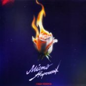 Обкладинка Саша Чемеров – Місто Наречених