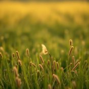 Обкладинка Сергей Видов – Святая Русь