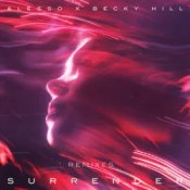 Обкладинка Alesso & Becky Hill – Surrender (AYDEN LOYDE Remix)