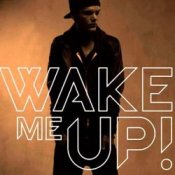 Обкладинка Avicii feat. Aloe Blacc – Wake Me Up