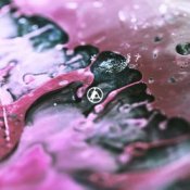Обкладинка Linkin Park – Stained