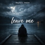Обкладинка skyfall beats – leave me