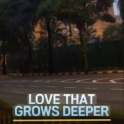 Обкладинка lastbar90 – LOVE THAT GROWS DEEPER