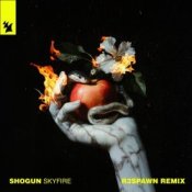 Обкладинка Shogun – Skyfire
