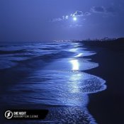 Слухати Alosa, Booty Leak, Elle Blue – One Night