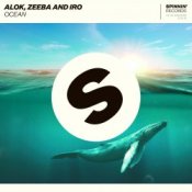 Обкладинка Alok – Always Feel Like