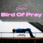 Обкладинка Ziferblat – Bird of Pray