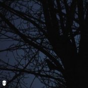 Обкладинка Pharmacist – Dreamin