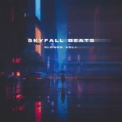 Обкладинка skyfall beats – metro