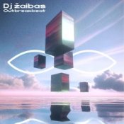 Обкладинка Dj Žaibas – Flotar