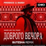 Слухати Probass & Hardi – Доброго Вечора (Where Are You From?) (Butesha Radio Edit)