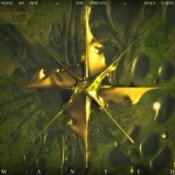 Обкладинка What So Not & The Upbeats – Wanted