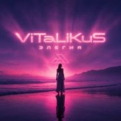 Обкладинка ViTaLiKuS – Элегия