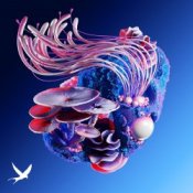 Обкладинка Korolova & MotherEarth feat. Tyoz – Nightshapes (Bigfett Remix)