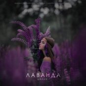 Слухати Шалих – Лаванда