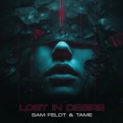 Обкладинка Sam Feldt & TAME – Lost In Desire