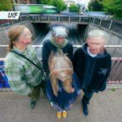 Обкладинка Born On Road & A Little Sound – Reload