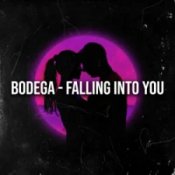 Обкладинка Bodega – Falling Into You