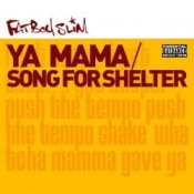 Обкладинка Fatboy Slim – Song for Shelter