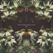 Обкладинка Lost World – Stargazer