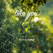 Обкладинка LiQWYD – Like You