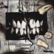 Обкладинка In Strict Confidence – Burning Angel (Biopsy Remix)