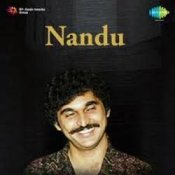 Обкладинка Nandu – Forever In Our Favor