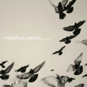 Обкладинка Venetian Snares – Swindon