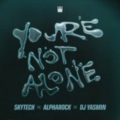 Обкладинка Skytech feat. Alpharock & DJ Yasmin – You’re Not Alone