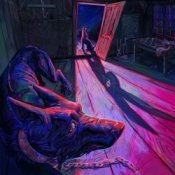 Обкладинка СТРУКТУРА ЩАСТЯ – ВОВК