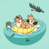 Обкладинка Hyper Potions – Jungle Cruise