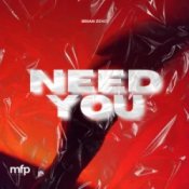 Слухати Brian Zeno – Need You