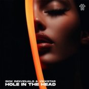 Обкладинка Sick Individuals & Vikkstar – Hole In The Head
