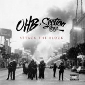 Обкладинка Chris Brown & OHB x Section Boyz – Other Side (feat. Section Boyz & OHB)