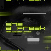 Armin van Buuren & Skytech - She A Freak