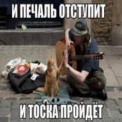Обкладинка Ноль – Человек И Кошка