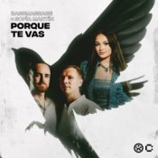 Обкладинка BASSMASSAGE & Sofía Martín – Porque Te Vas