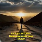 Обкладинка DJ VLAD SHTORM – Вновь иду и шаги свои слышу