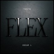 Обкладинка Tiesto & Oscar L – Flex
