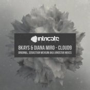 Слухати Diana Miro & 8Kays – Cloud9 (Sebastian Weikum Remix)