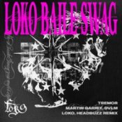 Martin Garrix & DVLM - Tremor (Headbuzz & Loko Remix)