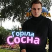 Обкладинка Friends in Kharkiv – Горіла сосна