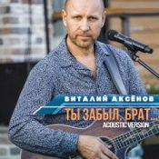 Обкладинка Виталий Аксенов – Ты забыл брат