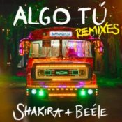 Обкладинка Shakira & Beéle – ALGO TÚ (Indira Paganotto Remix)